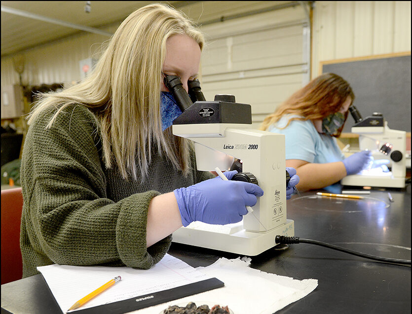 Female students looking through microscopes